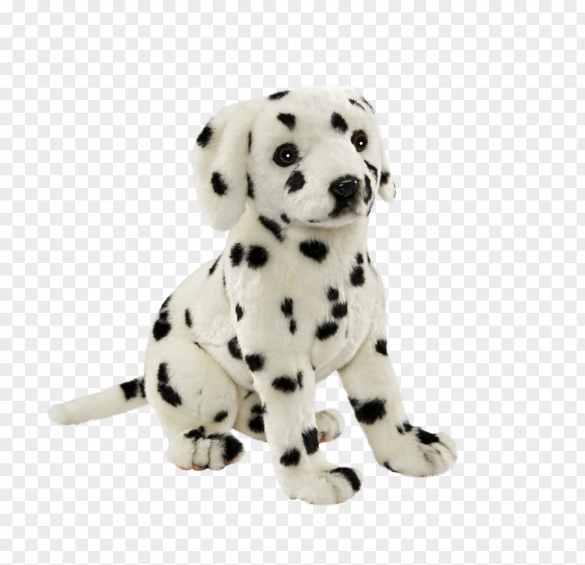 Puppy Dalmatian Dog Breed Companion Non-sporting Group PNG