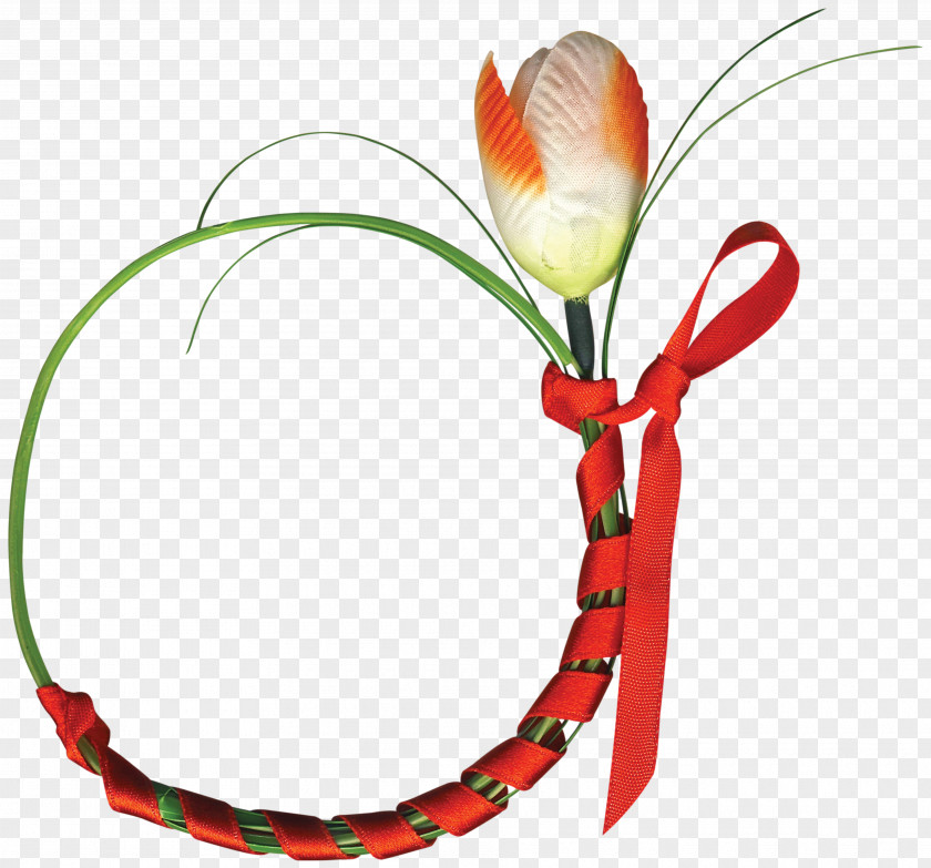 Decorative Flowers Ring Flower PNG
