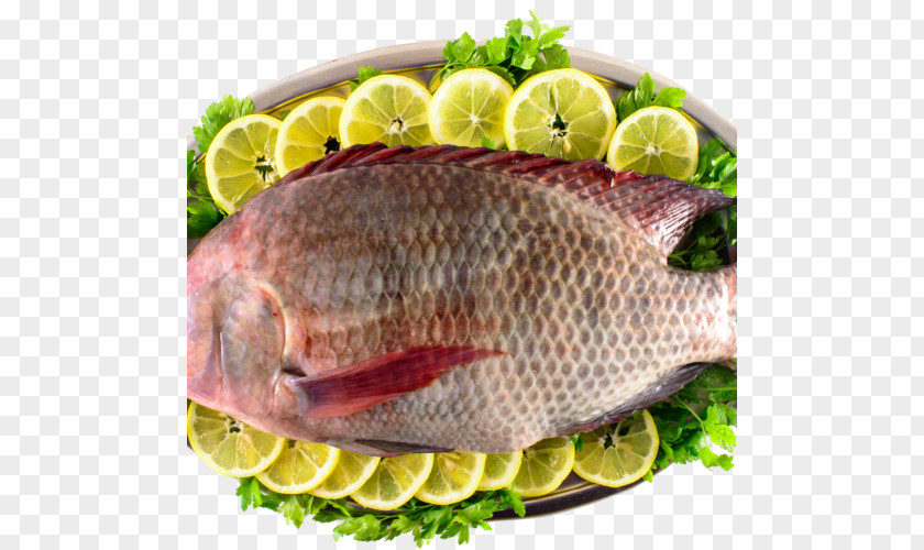 Fish Kipper Tilapia Bengali Cuisine Slice PNG