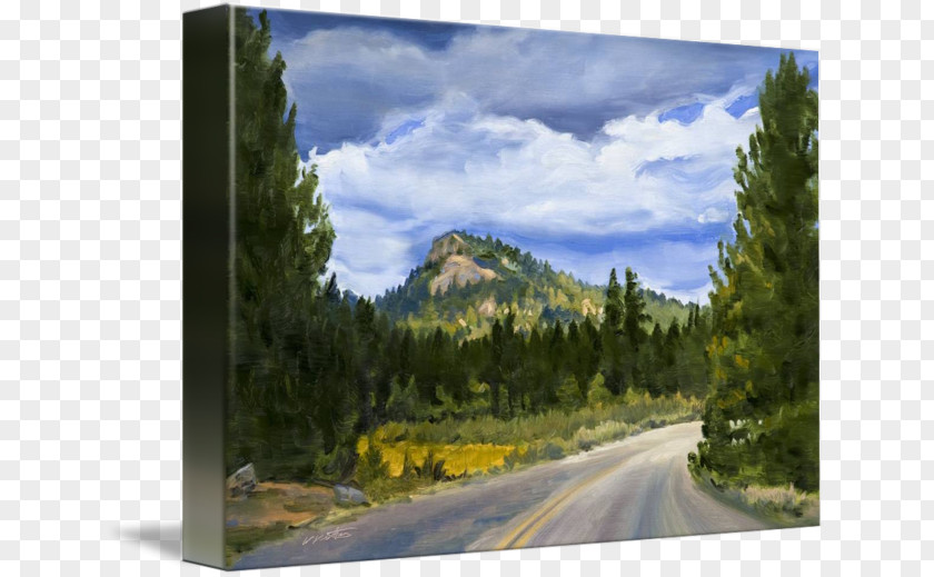 Painting Sequoia National Park Mount Scenery Wilderness Nature PNG