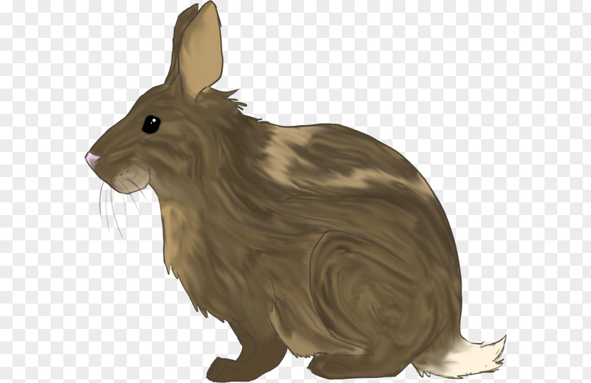 Rabbit No Button Hare Domestic Animal Mammal PNG