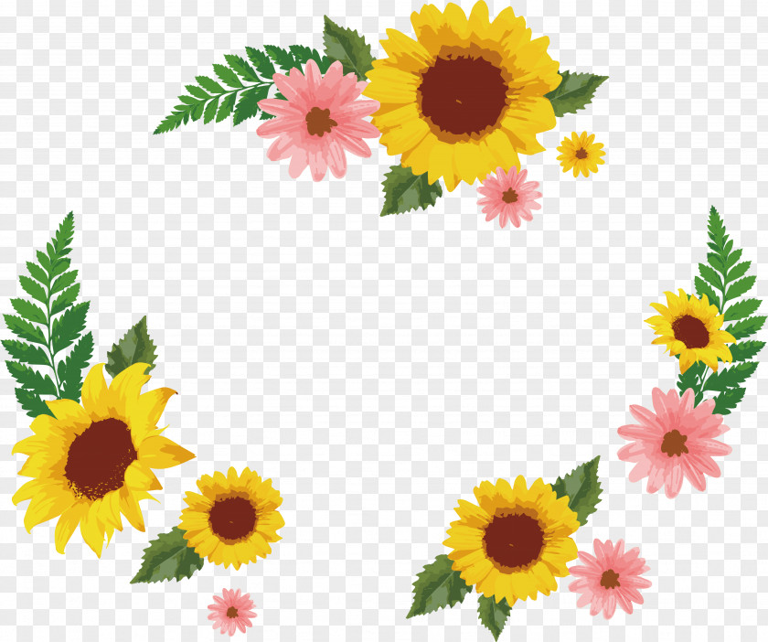 Sunflower Daisy Decorative Box Common Euclidean Vector Icon PNG