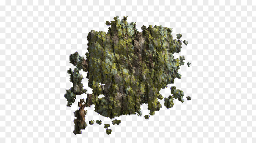 Tree Biome PNG