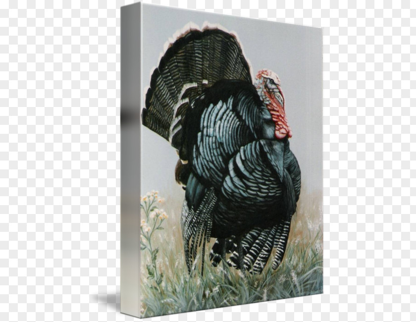Watercolor Thanksgiving Gallery Wrap Canvas Painting Art Domesticated Turkey PNG