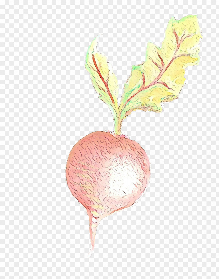Beet Twig Background PNG