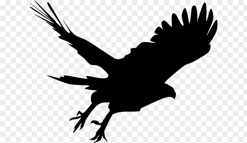 Silhouette Bald Eagle Hawk Clip Art PNG