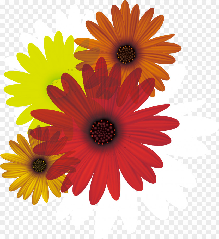 Vector Red Sunflower Common Daisy Flower Clip Art PNG
