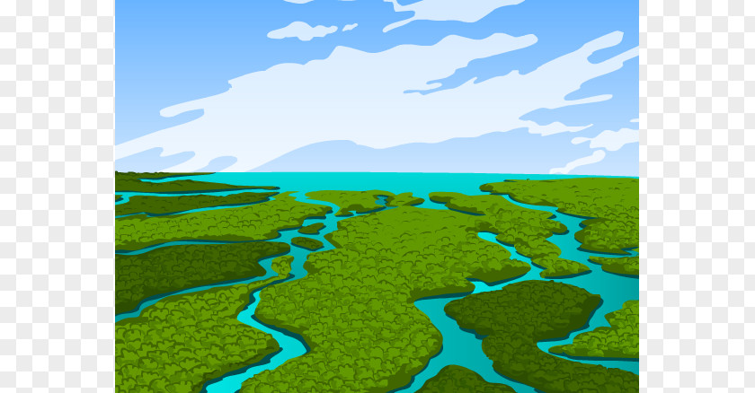 Wetland Cliparts Everglades Pantanal Ecology Clip Art PNG