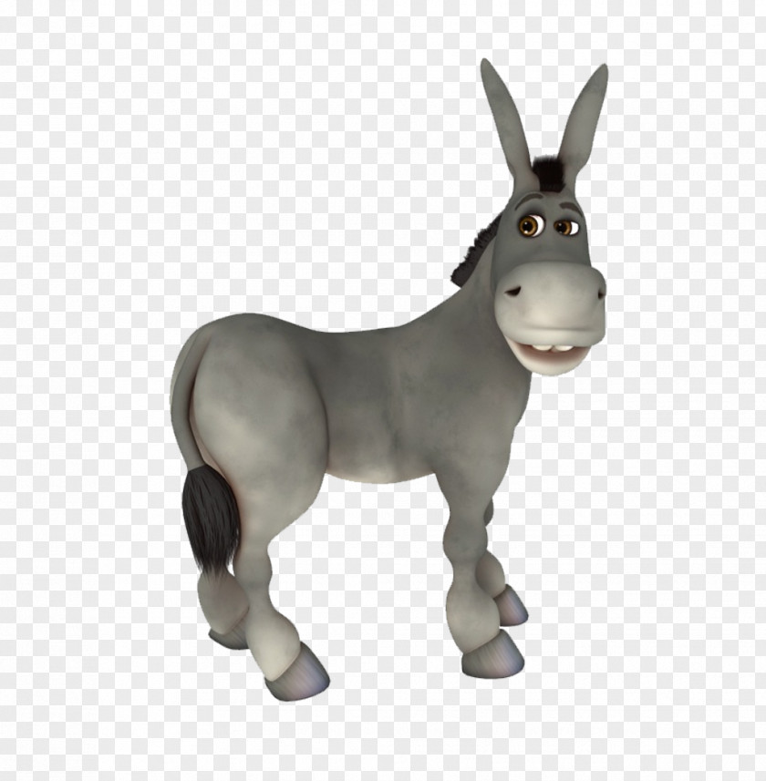 A Little Donkey Stock Illustration Drawing PNG