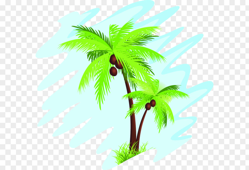 Coconut Arecaceae Tree Clip Art PNG