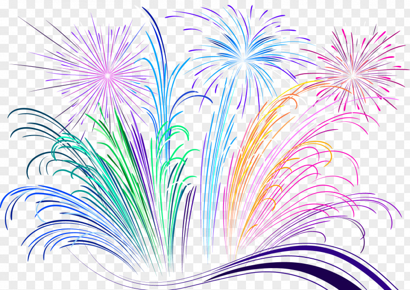 Colorful Fireworks Petal Purple Illustration PNG