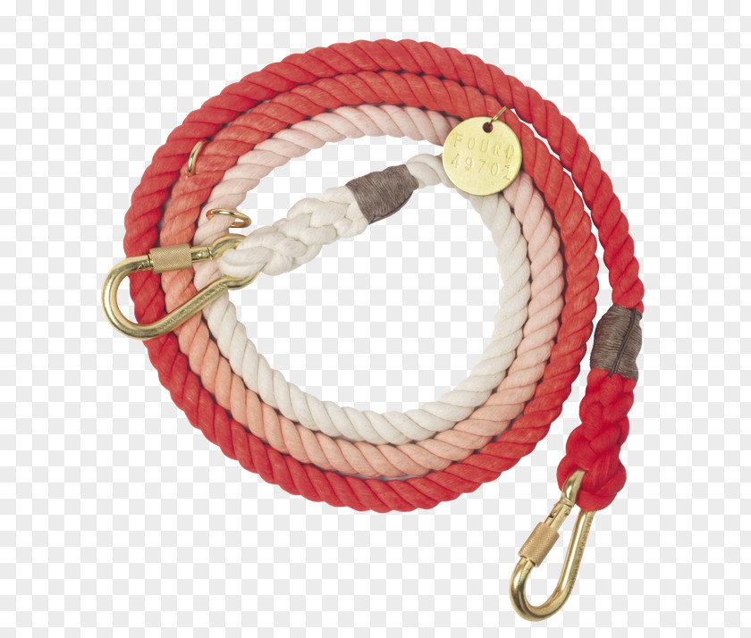 Dog Collar Leash Rope Cat PNG