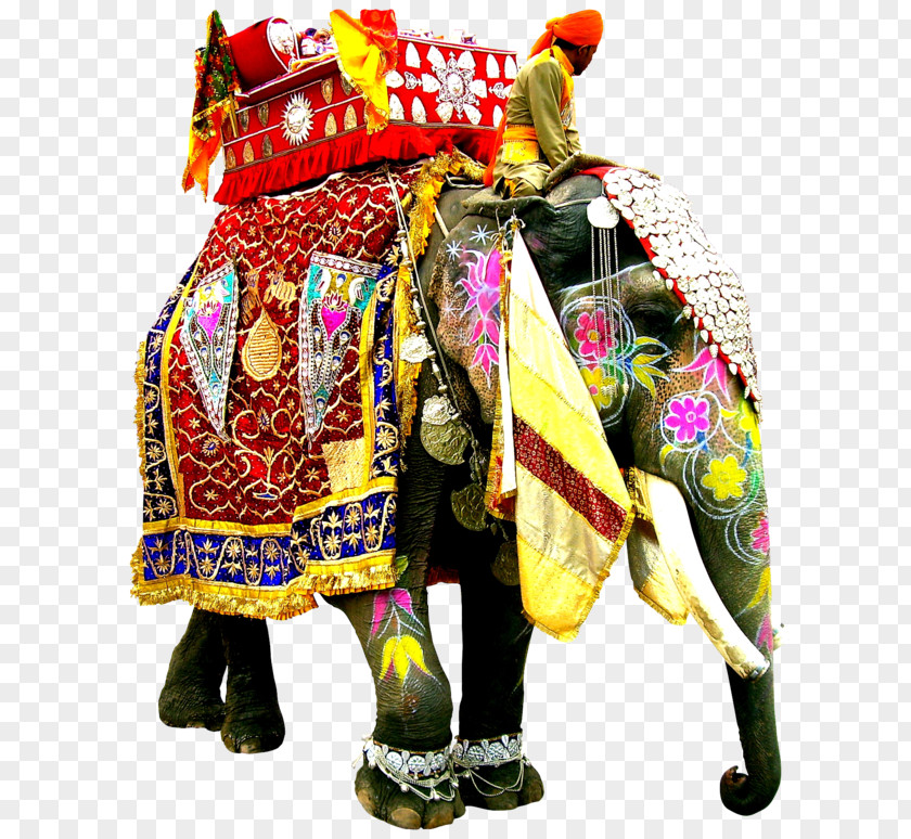 Elephant African Indian PNG