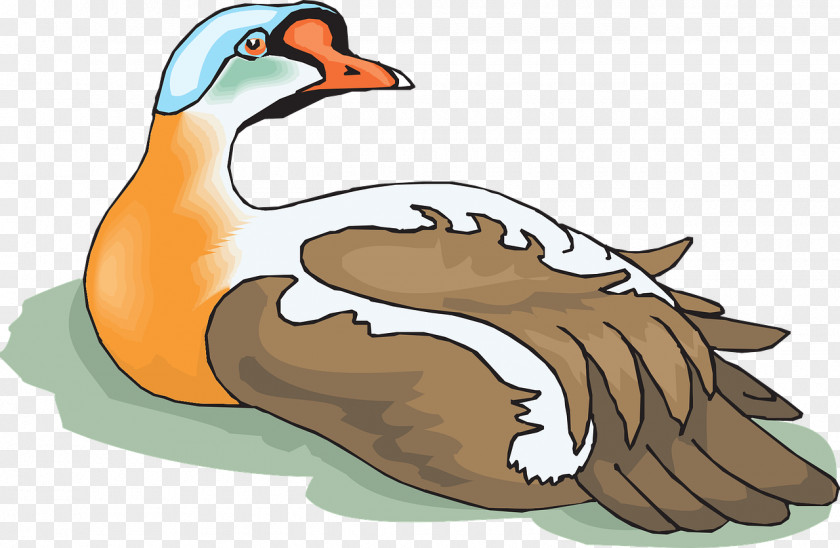 Goose Greylag Bird Duck Clip Art PNG