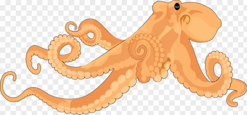 Octopus Cliparts Free Content Clip Art PNG