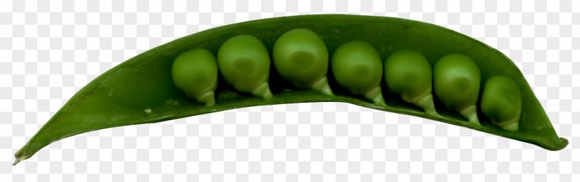 Peas In A Pod Pea PNG