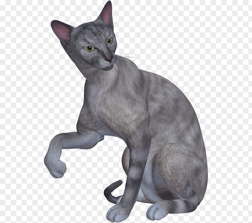 Antique Jewelry Accessories Antiquity Sketch Picture Material Korat Russian Blue Chartreux European Shorthair German Rex PNG