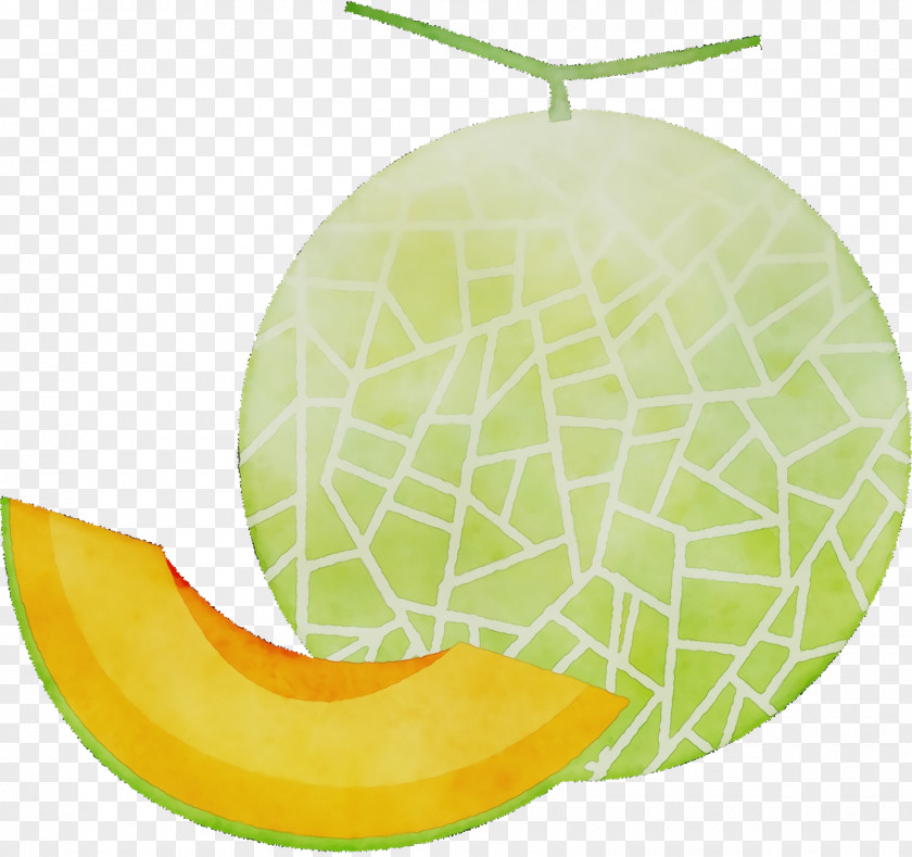 Honeydew Cantaloupe Yellow Vegetable PNG