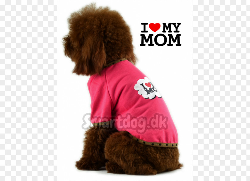 Puppy Standard Poodle Dog Breed Companion PNG