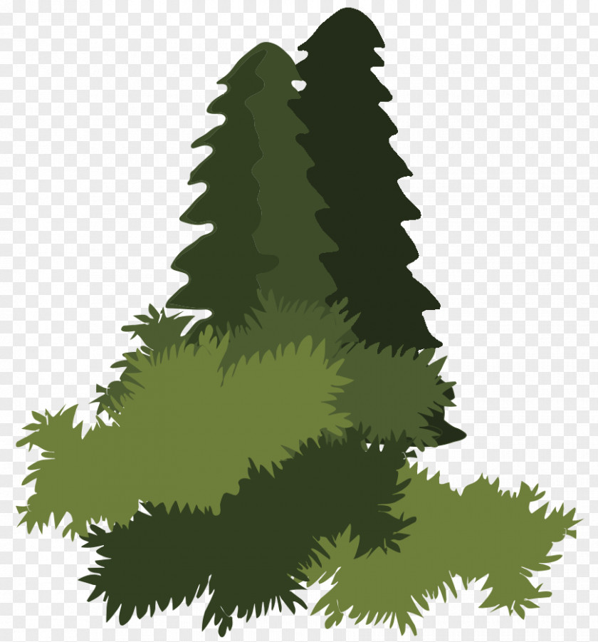 Woods Vector Spruce Abies Religiosa Bosque De Pino-encino Forest Plant PNG