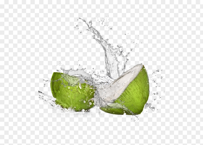 Agua De Coco Coconut Water Key Lime Still Life Photography Desktop Wallpaper PNG