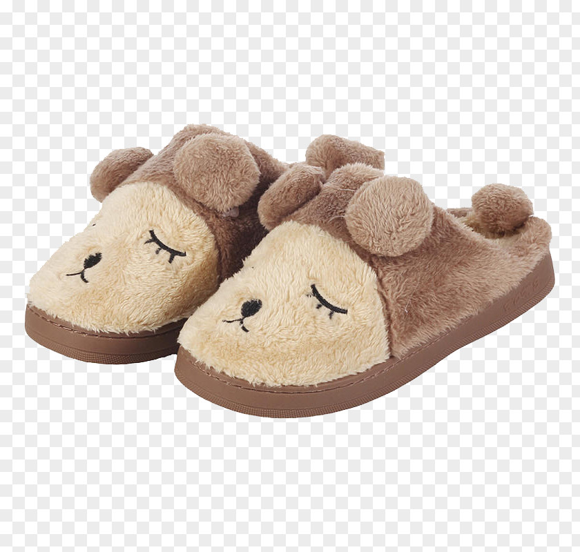 Cute Cartoon Warm Shoes Slipper Shoe PNG