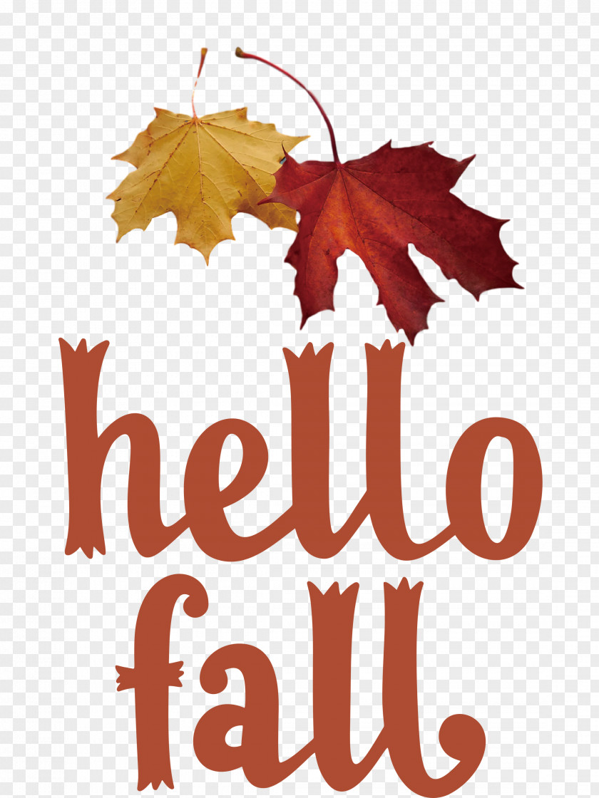 Hello Fall Fall Autumn PNG