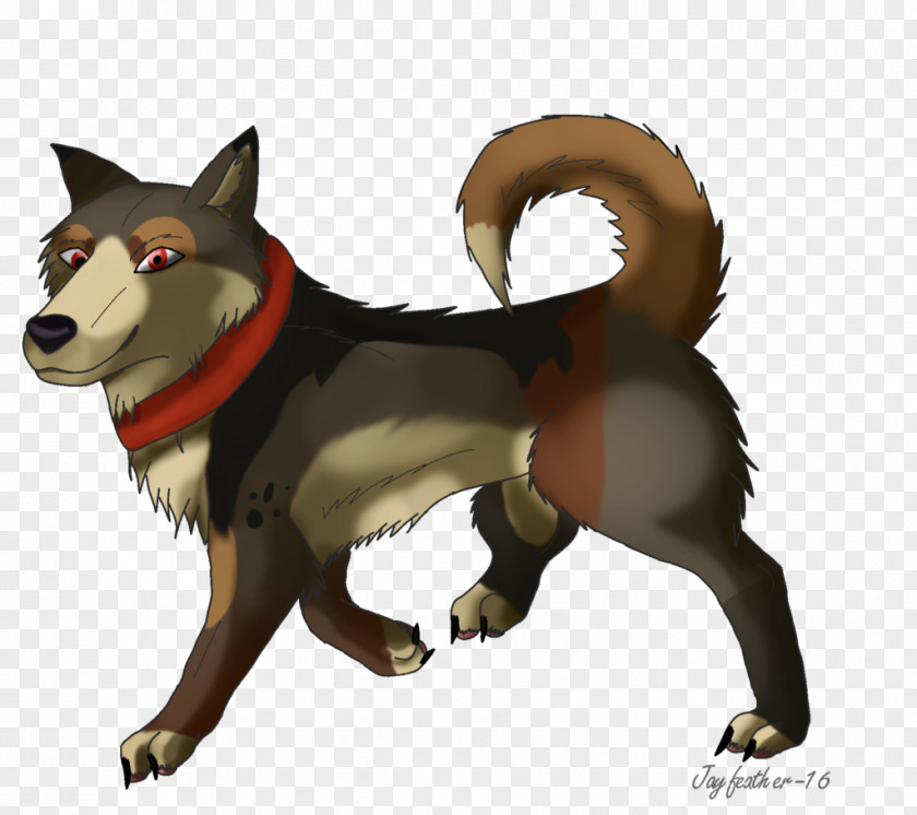 Jaws And Claws Shikoku Wolfdog Dog Breed Red Wolf Snout PNG