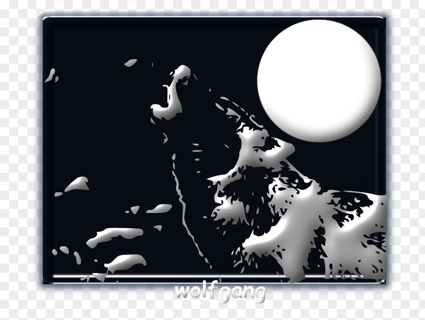 Night View Desktop Wallpaper User PNG