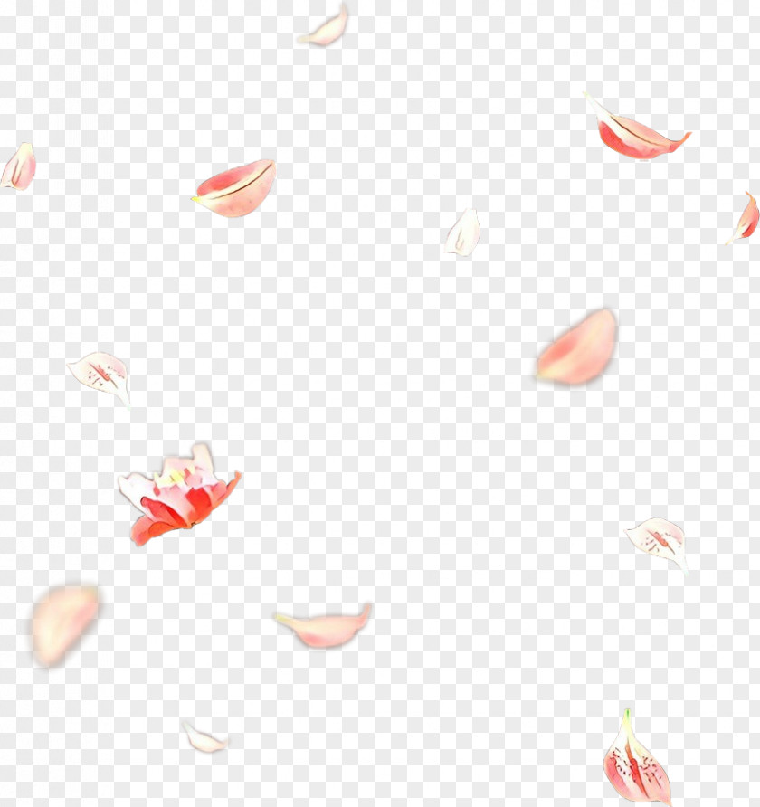 Petal Heart White Pink Pattern PNG