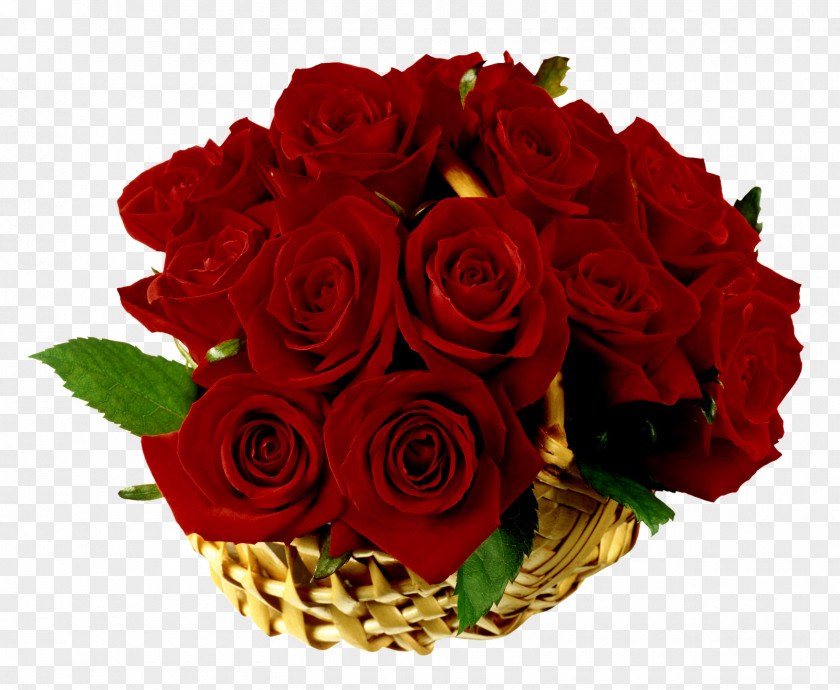 Red Rose Decorative Basket Flower Clip Art PNG