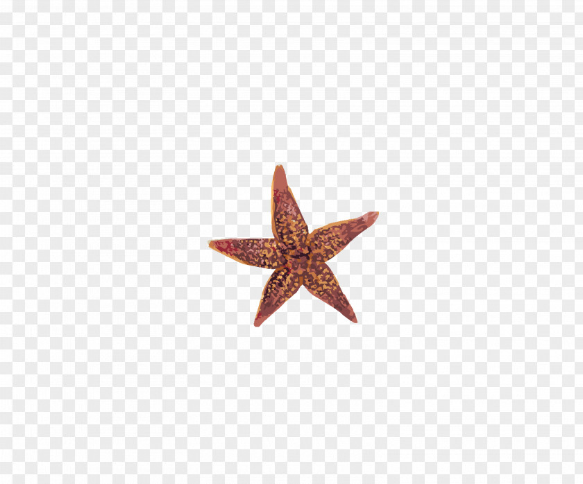 Starfish Pattern PNG