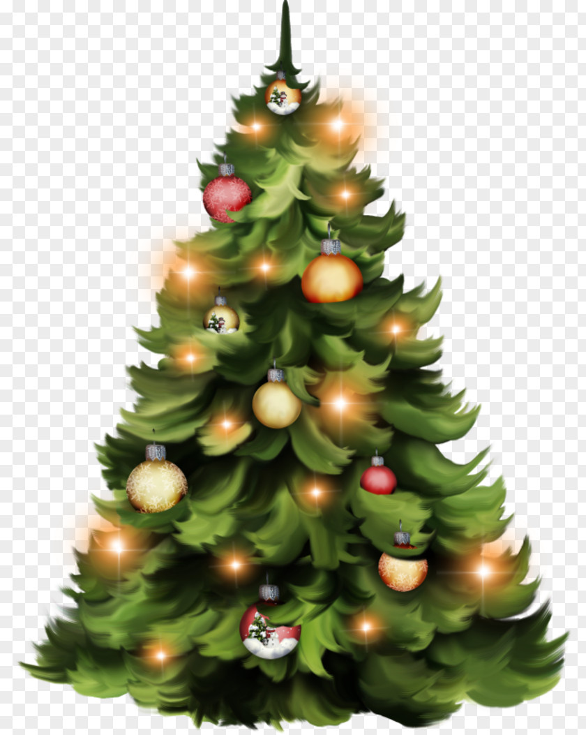 Christmas Tree Day Ornament Spruce Fir PNG