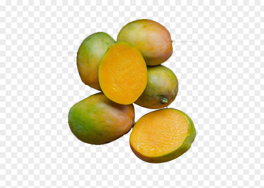 Cyan Small Mango Lime PNG