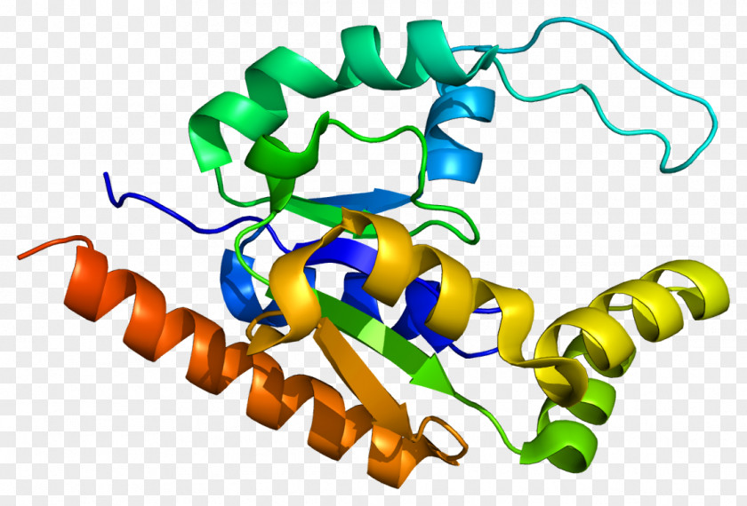TATA-binding Protein TAF9 Transcription Factor II D PNG