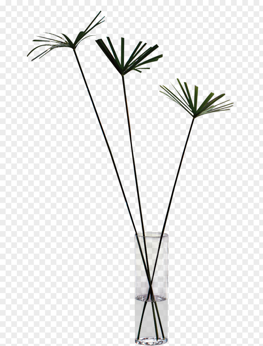 Home Vase PNG