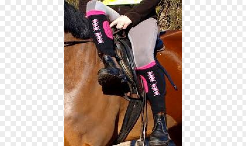 Horse Equestrian Sock Riding Boot Chaps PNG