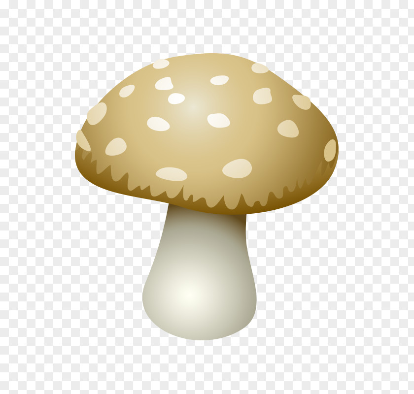 Mushroom,fungus Edible Mushroom Shiitake Clip Art PNG