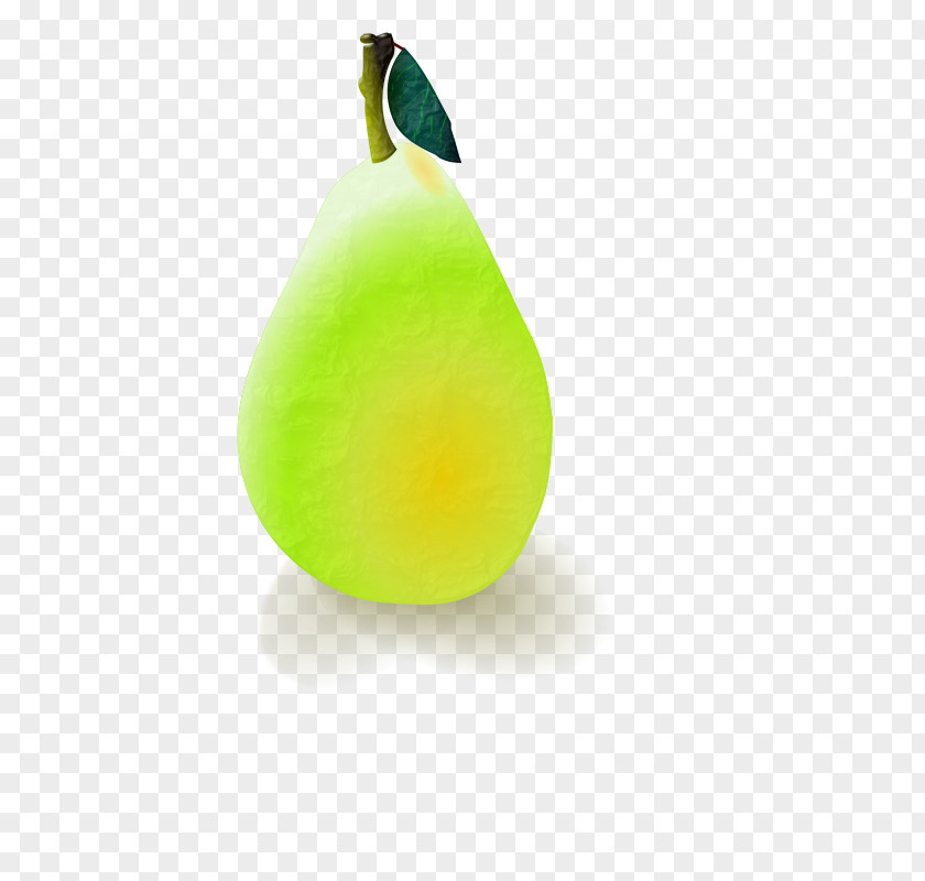 Pear Drawing Williams PNG