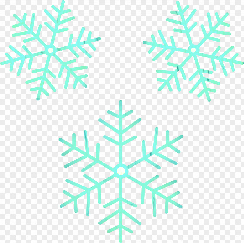 Plant Symmetry Snowflake Cartoon PNG