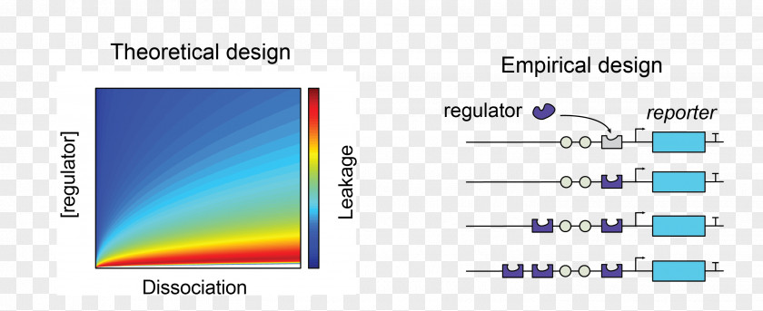 Computer Program Angle Multimedia Font PNG