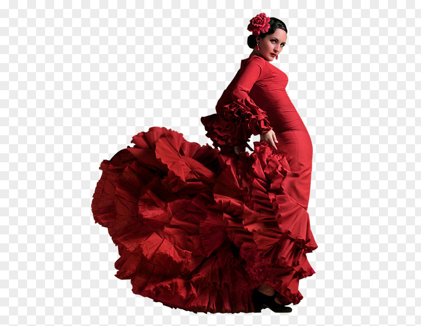 Dress Flamenco Dance Traje De Flamenca Clothing PNG