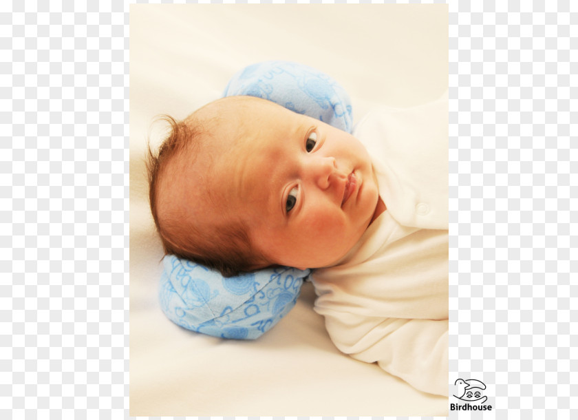 Groundnut Child Infant Nose Toddler Cheek PNG
