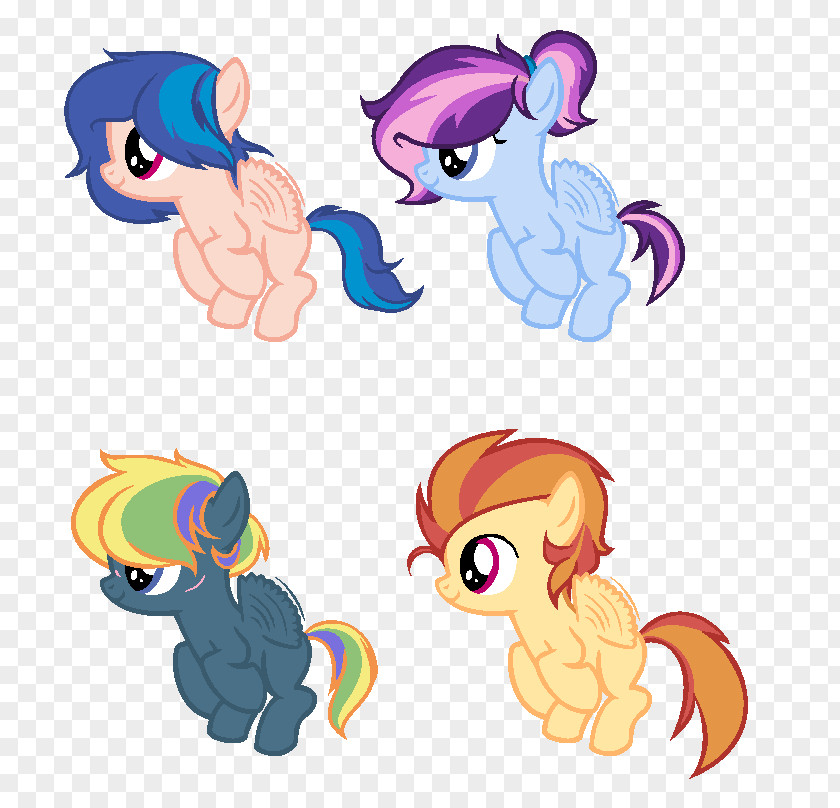 My Little Pony Rainbow Dash Flash Sentry Twilight Sparkle Spike PNG