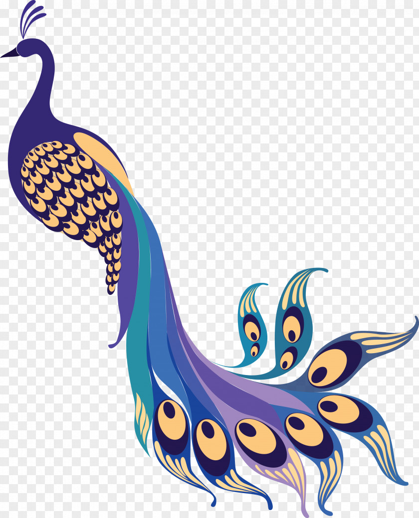 Peafowl Asiatic Clip Art PNG