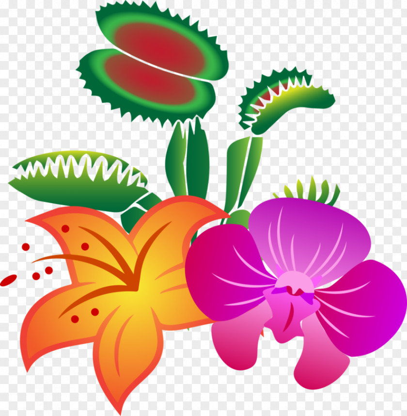 Plants Clip Art Venus Flytrap Image Trichome PNG