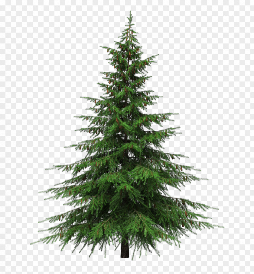 Fir-tree Balsam Fir Artificial Christmas Tree Pre-lit PNG