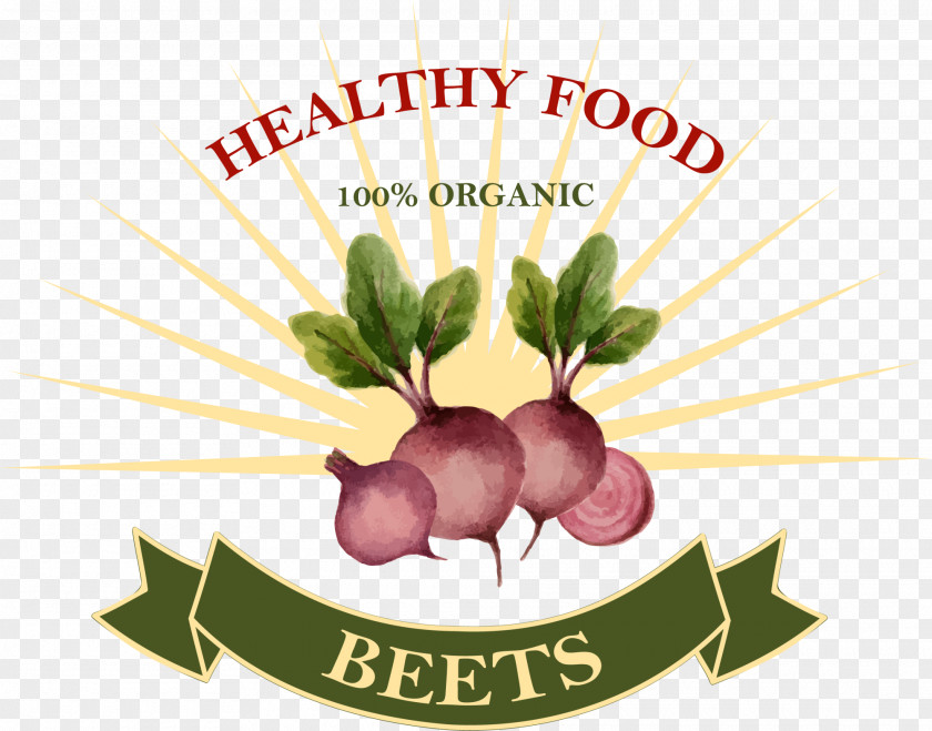 Green Beet Label Organic Food Vegetable PNG