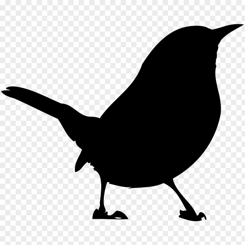 Hawkeye House Wren Bird Domestic Canary Silhouette PNG