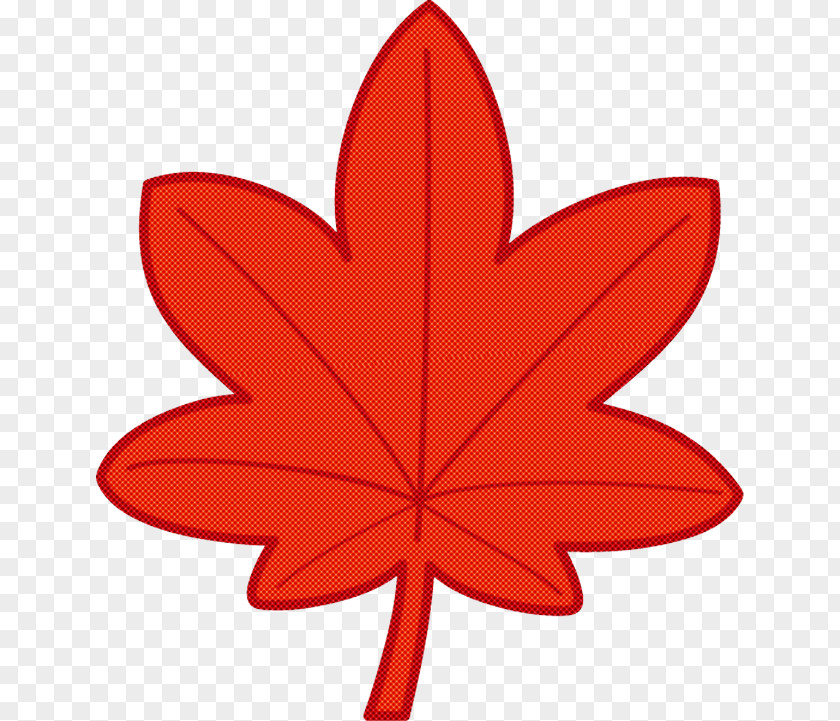 Maple Leaf PNG